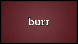 Burr Meaning