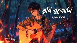 তুমি বু্ঝোনি | Tumi Bujo Ni | Slowed Reverb Bangla Song | Lo-fi Bangla #sadsong #lofibangla #foryou 