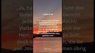 Vers des Tages|Amos 5:14|#bibel #bibelvers #gott #gotteswort #gottesdienst