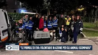 “Le Primule di Eva: volontarie in azione per gli animali scomparsi”
