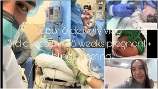 LABOR & DELIVERY vlog 3rd C-Section 38 weeks pregnant + siblings meeting