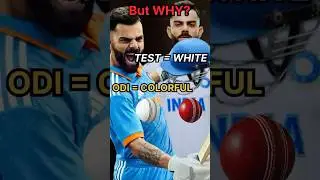 Why Test Cricket Jerseys are White & ODI Jerseys are Colorful? | Cricket Facts Explained #shorts