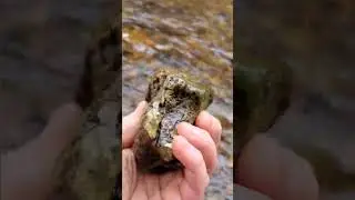 Is rock hounding lucrative? How to make money selling rocks. #rockhounding #shorts