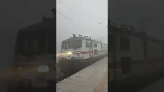 #train #winter #fog
