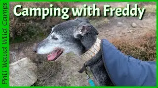 The Fastest route up to a Kinder Scout wildcamp, Freddy the greyhound FLIES  up! 