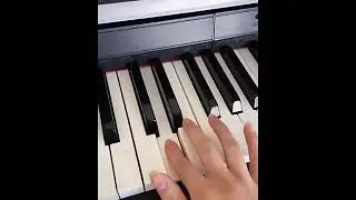 The Piano Cat With Perfect Pitch