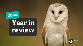 Essex Wildlife Trust year highlights 2024