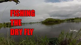 Fishing the Dry fly // Fly fishing for Trout