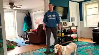 Games for kids and dogs: tag!
