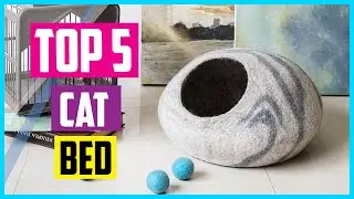 ✅ Best cat bed amazon 2024