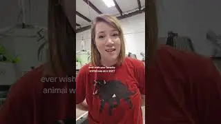 That exact reaction is why I started this brand