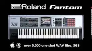 Roland Fantom Sample Pack, over 5,000 WAVs for Mac or PC, 3 GB