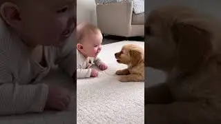When the Kid Tries Speaking Husky 🐺😂