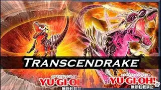Yu-Gi-Oh! Transcendrake Dinosaur Combos 2023 (Post  Wild Survivors) Scrap Dino Combos 1.0  [DB]