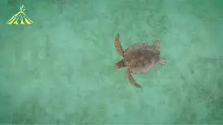 Discover Kalimantan with Merapi Tour & Travel - HD