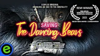 Saving the Dancing Bears | Sloth Bear Documentary
