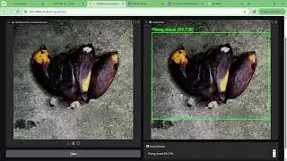 Implementasu Yolov11 Untuk Object Detection Kematangan Buah Pisang