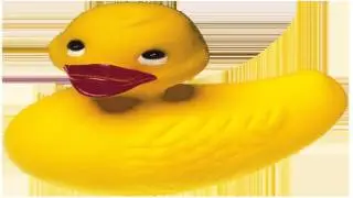 Quack quack - pludsiesa