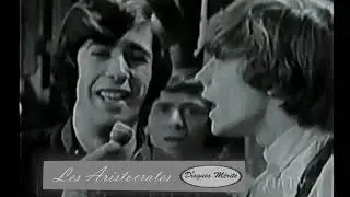 Les Aristocrates : Pourquoi, 1966