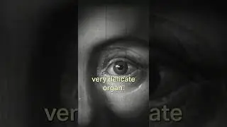 Vintage Classroom Films are Boring #10