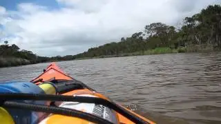kevin and I paddled on the Tarwin River