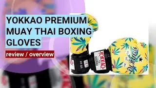 YOKKAO Boxing Gloves Review: Premium Muay Thai Gear Tested