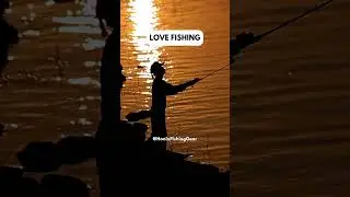 Fishing Quotes to Brighten Your Day! 🎣