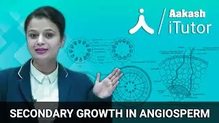 Secondary Growth in Angiosperm &ndash; Botany &ndash; NEET | Aakash Digital