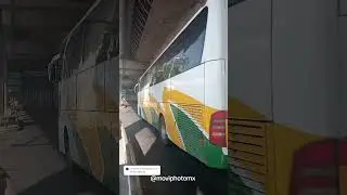 ADO,Sur y AU en TAPO #autobuses #autobusesmexicanos #mobilityado