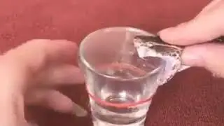 Olha o que acontece quando veneno de cobra &eacute; misturado  com sangue!!!!!