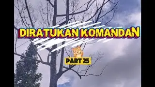 Cerita pendek DIRATUKAN KOMANDAN //part 25 #bantusubscribe 