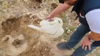 WWD 2022 Tree Planting in Iran