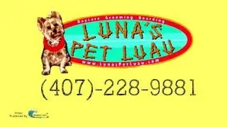Dog Boarding With Outdoor Play Area Orlando 407-228-9881