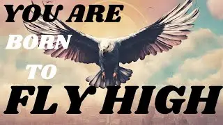 You are born to fly high - best motivational Video