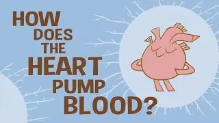 The Heart Is Not A Pump by Paul Michael Bales