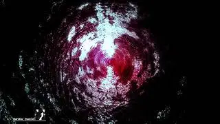 Kuroka - Euclid