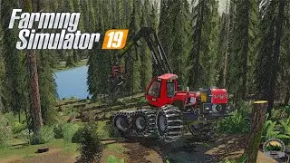 Komatsu951 Head :C164🌲Logging🌲FS19🌲New Map🌲We are testing new mods.👀Work in on large mountain slopes