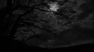Carlos Monsalve - Dark Night (Original Mix)