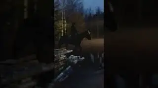 Veikkis joskus kauan sitten (vihdoin t&auml;nnekki p&auml;ivittelen jotain)