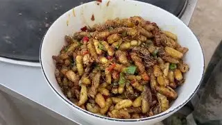 一窝虎头蜂的蜂蛹油炸了一大碗，吃起来太香了，就是比较费酒