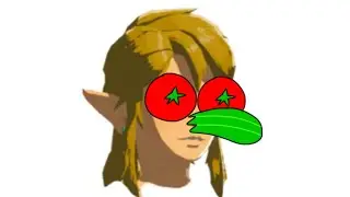 BOTW Flower Lady In A Nutshell