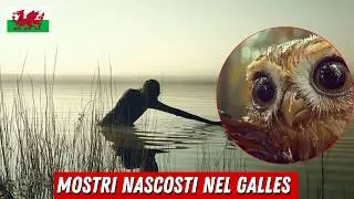 L'esperto di Criptidi rivela: Tutte (36) Creature Criptidi e Mitiche GALLESI