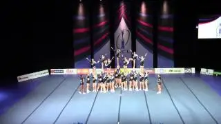 FT Wild Sparkles SM2015 #4