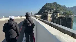 桃園冬日漫步：探索冬之境