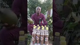 Benefits of Hunteria Umbrella Natural Fruit