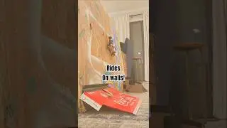 THPS vibes! #rccar #rcbashing #highspeed #skatetricks #thps #skate4 #fyp #carvideo #stunts