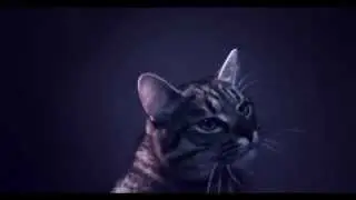Freestyle Rap Nomination - Keevrat