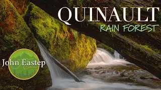 Landscape Photography | Capturing The Amazing Waterfalls Of The Quinault Rain Forest!