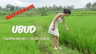 Bali Vlog #16 - Campuhan Rice Fields Walk Ubud