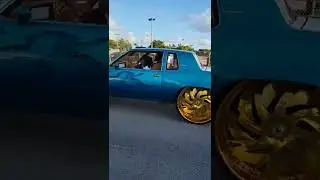 Cutlass Tuckin Gold 30s 😵